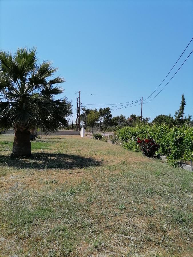 Katerina Villa In Kiotari Exterior photo